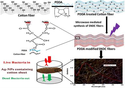 Power and Time Dependent Microwave Assisted Fabrication of Silver Nanoparticles Decorated Cotton (SNDC) Fibers for Bacterial Decontamination